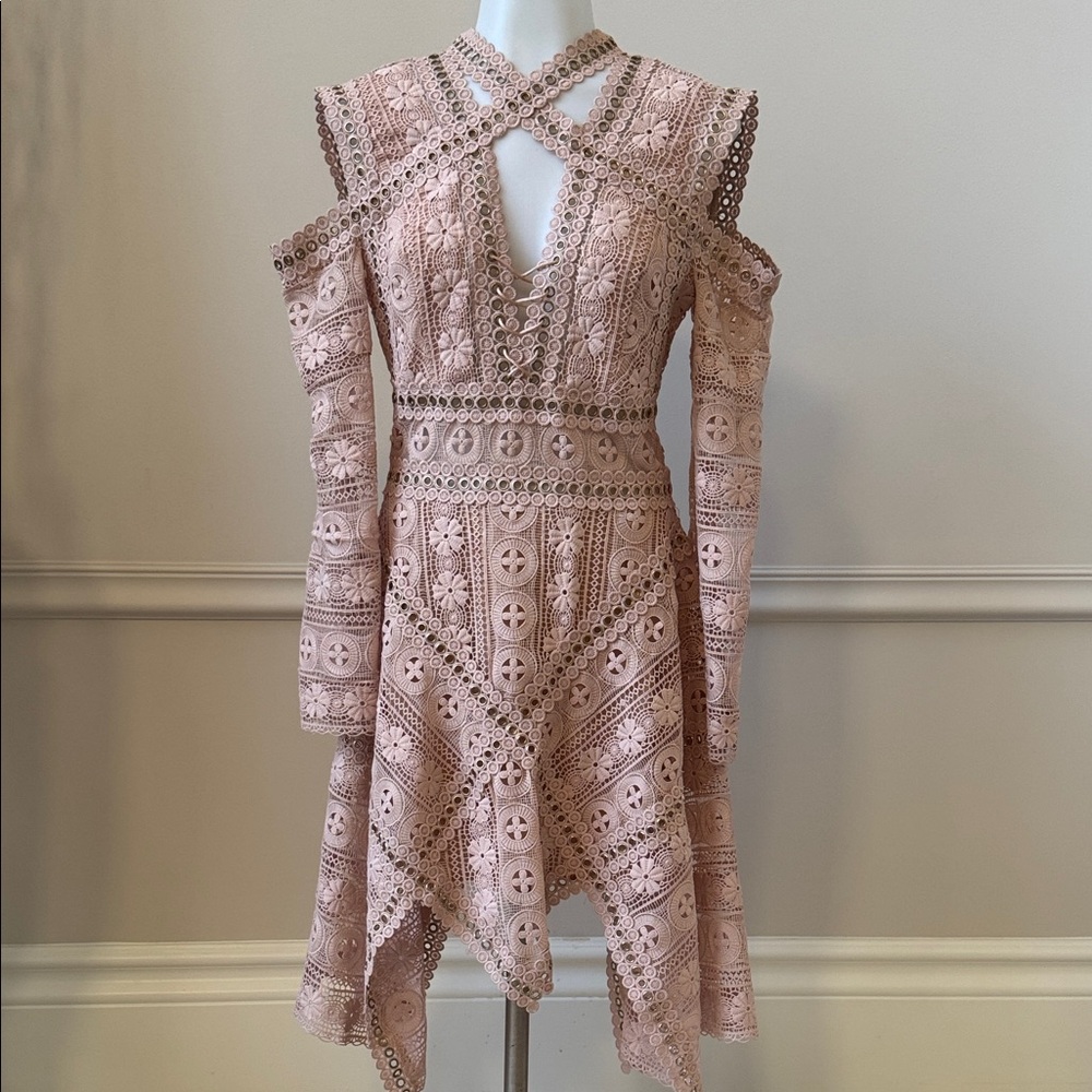 Thurley Like Elegant Blush Lace Dress